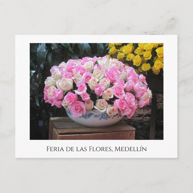 Cartão Postal De Festividades Rosas na Feria de las Flores em Medellín (Frente)