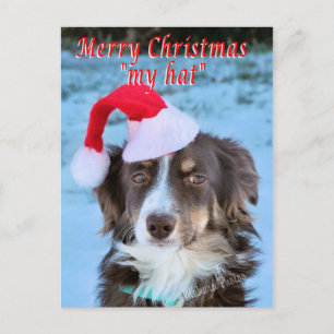 Cartão Postal De Festividades Rosie-CH7-Z - customize