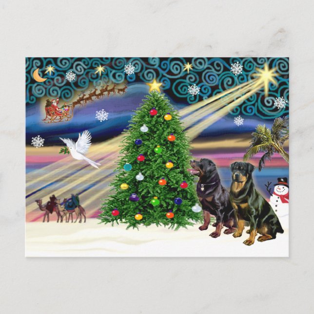 Cartão Postal De Festividades Rottweilers mágicos de Natal (dois) (Frente)