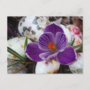 Cartão Postal De Festividades Roxo Crocus e Ovos de Páscoa
