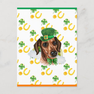 Cartão Postal De Festividades Rua de Cabelo de Fio Dachshund Shamrock.