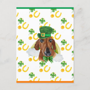 Cartão Postal De Festividades Rua Red Dachshund Shamrock. Dia dos Patricks