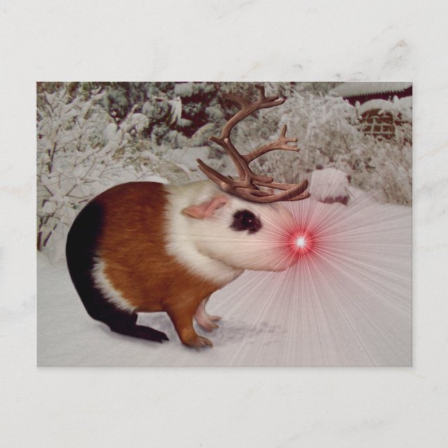 Cartão Postal De Festividades Rudolph O Porco Vermelho Nosed Guiné (Frente)
