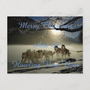 Cartão Postal De Festividades Running dogs in snow postcard