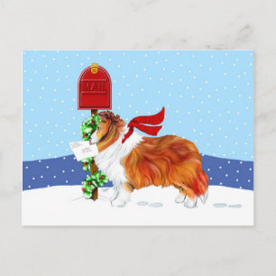Cartão Postal De Festividades Sable do correio do Natal de Sheltie