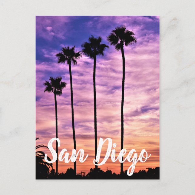 Cartão Postal De Festividades San Diego Palm Tree Sunset (Frente)