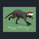 Cartão Postal De Festividades Santa Claus Coon<br><div class="desc">a cor de fundo pode ser alterada: PERSONALIZAR TI - EDIT - O ajudante do pai de Natal é um adorável waschbär com chapéu de xmas vermelho</div>