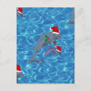 Cartão Postal De Festividades santa claus dolphins