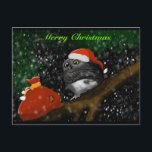 Cartão Postal De Festividades Santa Owl Christmas Card<br><div class="desc">This card is actually from a photo of mine! I thought I would try something new and make some Christmas cards this season from a few of mine. I hope everyone enjoys!</div>