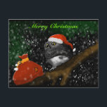 Cartão Postal De Festividades Santa Owl Christmas Card<br><div class="desc">This card is actually from a photo of mine! I thought I would try something new and make some Christmas cards this season from a few of mine. I hope everyone enjoys!</div>