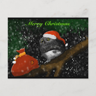 Cartão Postal De Festividades Santa Owl Christmas Card