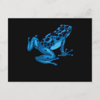 Sapo Dart  Azul Funny Amante de os animais selvage