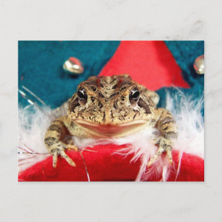 Cartão Postal De Festividades Sapo de Natal, Tinsel, penas, padrão dos papais no