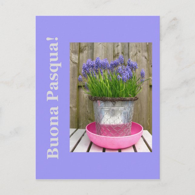 Cartão Postal De Festividades Saudação de páscoa comum - italiano (Frente)