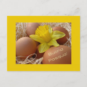 Cartão Postal De Festividades Saudação dos ovos e da páscoa daffodil - italiano