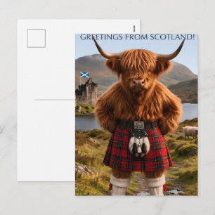 Cartão Postal De Festividades "Saudações da Escócia" Desenho de Vaca das Terras
