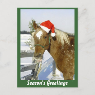 Cartão Postal De Festividades Saudações de Horse Season