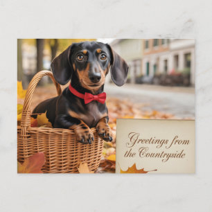 Cartão Postal De Festividades "Saudações do Campo" Dachshund