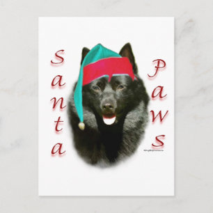 Cartão Postal De Festividades Schipperke Santa Paws