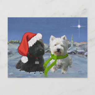 Cartão Postal De Festividades Scottie and Westie Christmas Star
