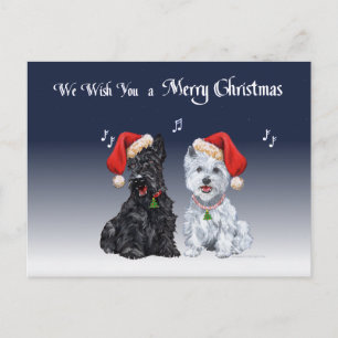 Cartão Postal De Festividades Scottie e Westie Caroling