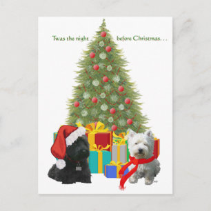Cartão Postal De Festividades Scottie e Westie Feliz Natal