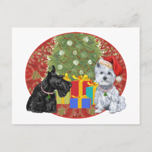 Cartão Postal De Festividades Scottie & Westie Christmas
