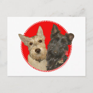 Cartão Postal De Festividades Scotties Trigo e Preto de Natal
