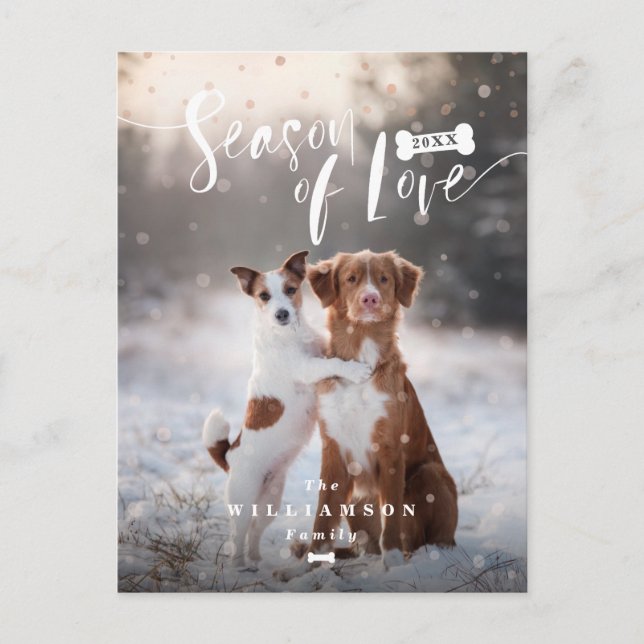 Cartão Postal De Festividades Season of Love | Stylish Script Pets Christmas (Frente)