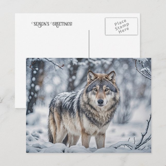 Cartão Postal De Festividades Seasons Greeting Christmas Wolf in Snow (Frente/Verso)