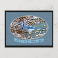 Série de Saudações de Fim de Ano do Gaio Azul