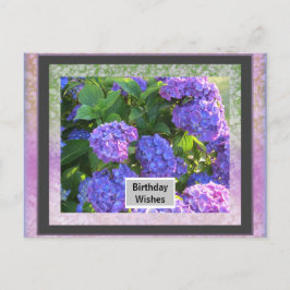 Cartão Postal De Festividades Seu cartão de aniversário com moldura de foto