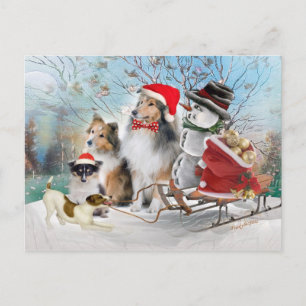 Cartão Postal De Festividades Sheltie, Jack Russell e Snowman Xmas Cards