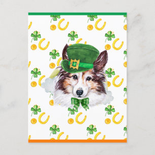 Cartão Postal De Festividades Sheltie Shamrock Dia de São Patrício
