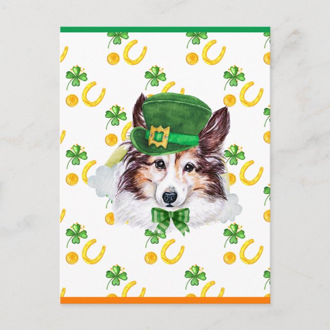 Cartão Postal De Festividades Sheltie Shamrock Rua. (Frente)