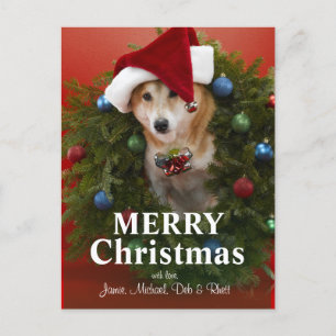 Cartão Postal De Festividades Shiba Inu dog sitting in Christmas wreath