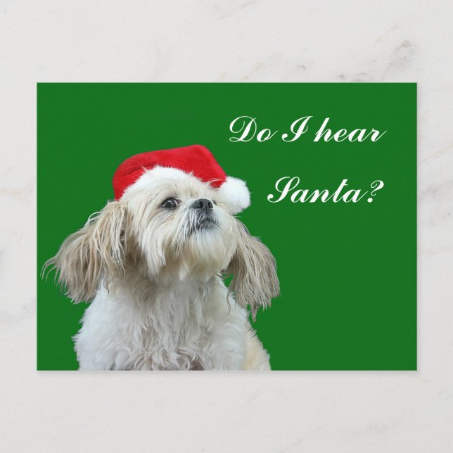 Cartão Postal De Festividades Shih Tzu escuta o papai noel (Frente)