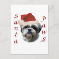Shih Tzu Papais noeis Paws