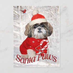 Cartão Postal De Festividades Shih Tzu Papais noeis Presentes de patas