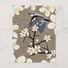 Cartão Postal De Festividades Shrike