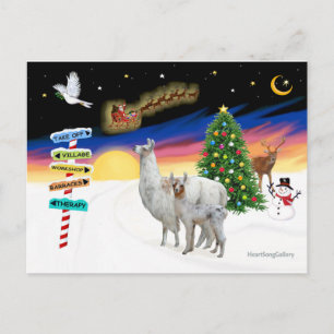 Cartão Postal De Festividades Sinais Xmas - Mamã Llama e Bebê