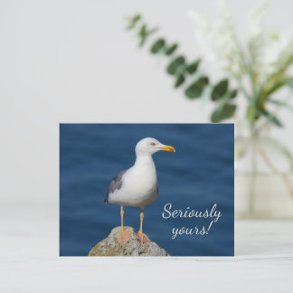 Cartão Postal De Festividades Sinceramente seu gaivota sério
