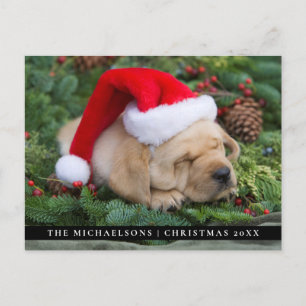 Cartão Postal De Festividades Sleepy Labrador Retriever Puppy Com Santa Hat