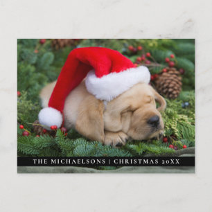 Cartão Postal De Festividades Sleepy Labrador Retriever Puppy Com Santa Hat
