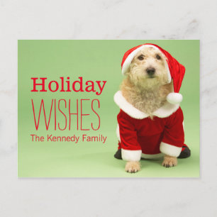 Cartão Postal De Festividades Small Dog In Santa Costume