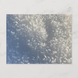 Cartão Postal De Festividades Snow Crystal Sunlight