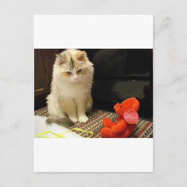 Cartão Postal De Festividades Snuggler meows "dia dos namorados feliz! " (Frente)