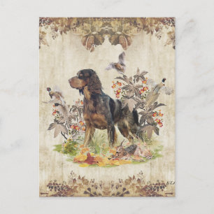 Cartão Postal De Festividades Spaniel da Picardie, Caça de aves