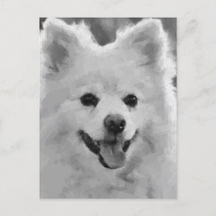 Cartão Postal De Festividades Spitz Japonês