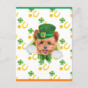 Cartão Postal De Festividades Spitzpoo Shamrock Dia de São Patrício